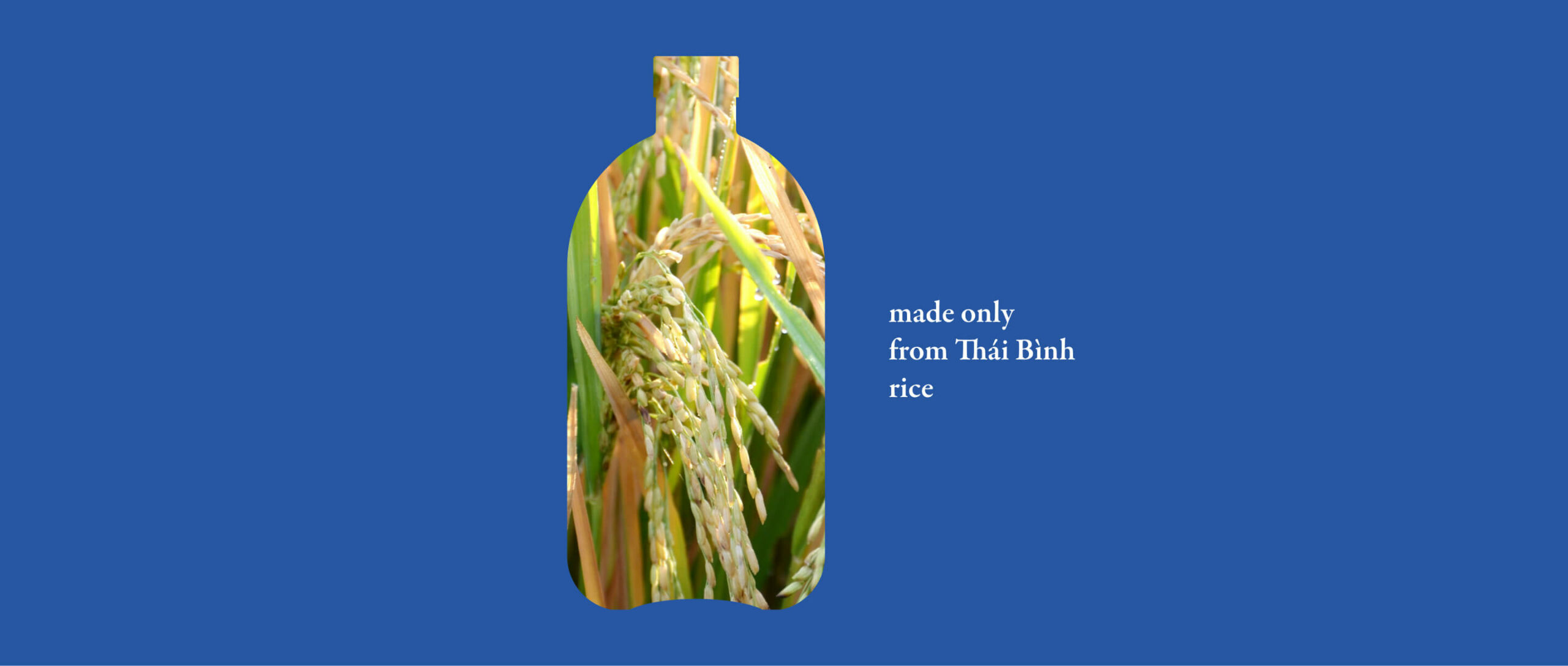 Về Để Đi
