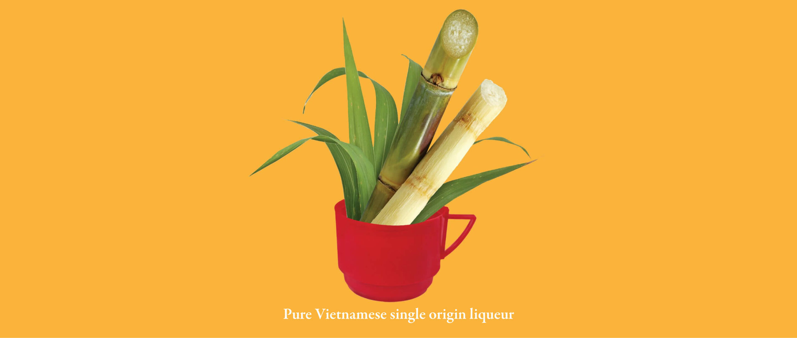 Về Để Đi