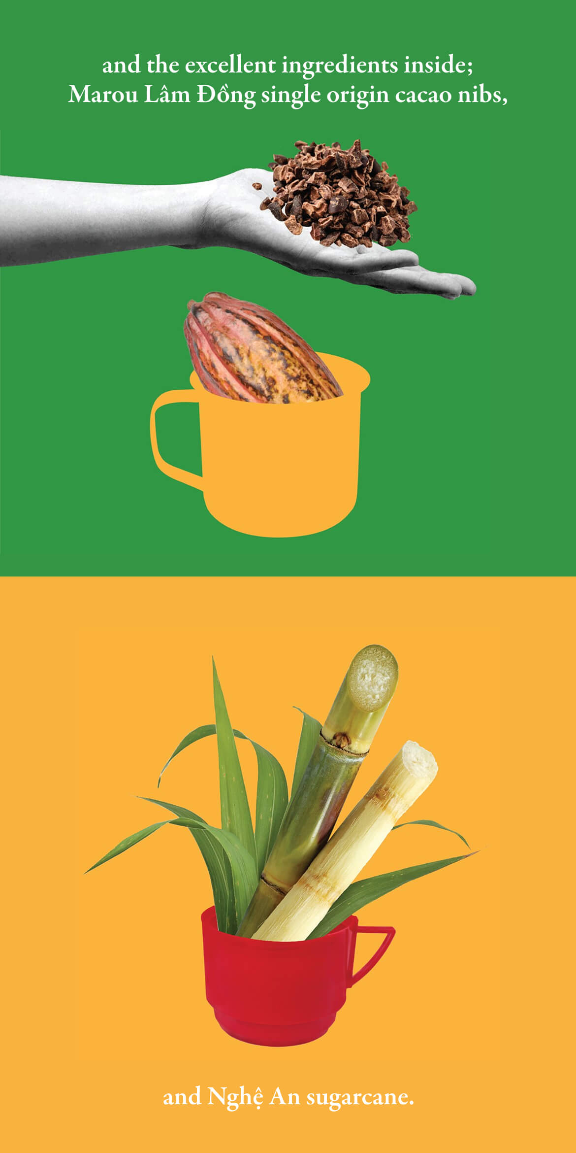 Về Để Đi