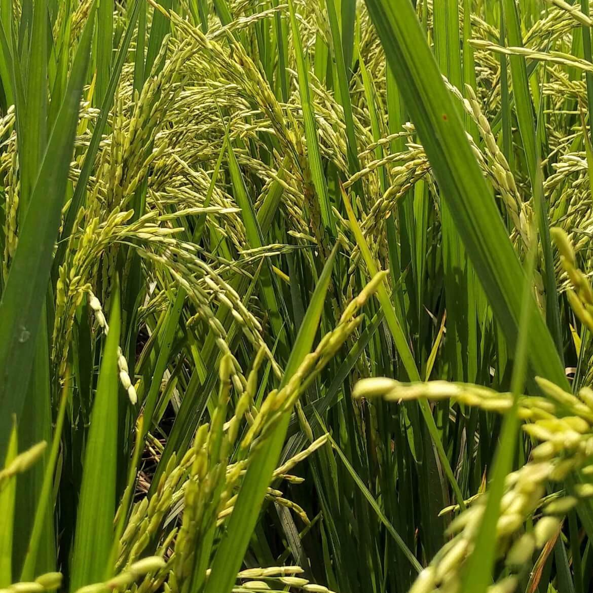Về Để Đi