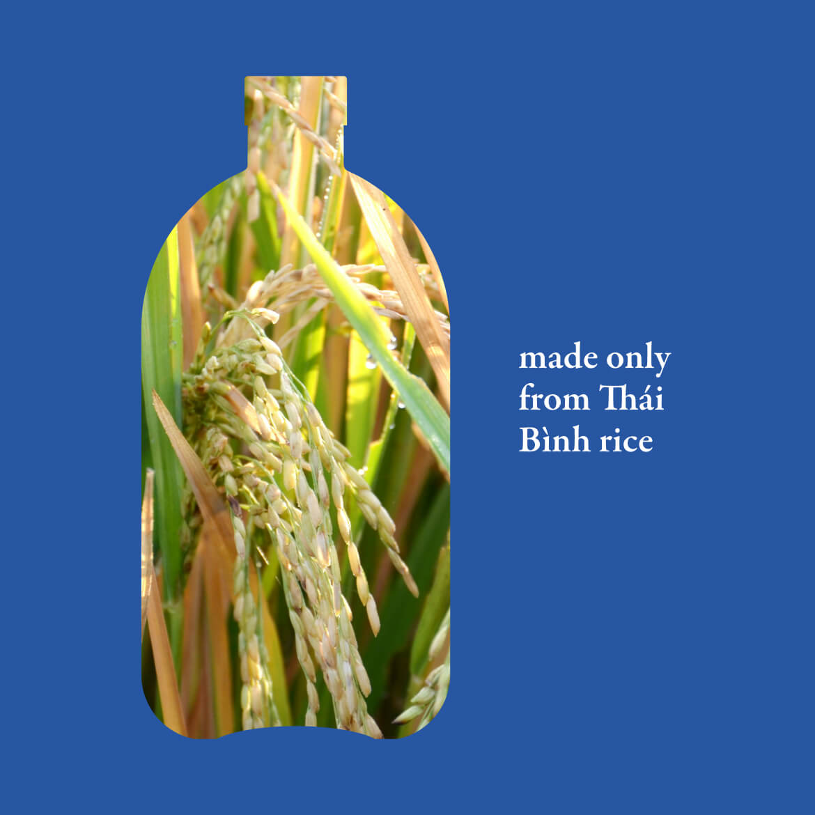 Về Để Đi