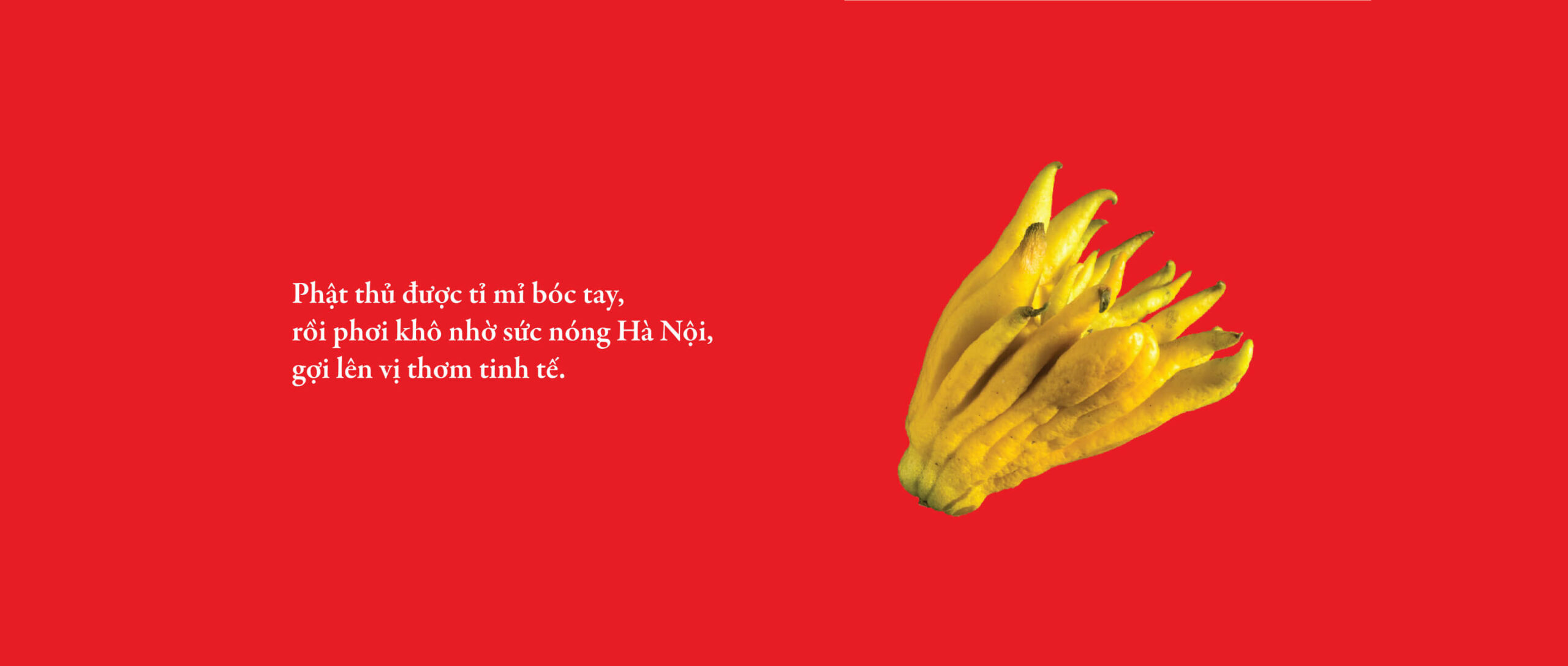 Về Để Đi